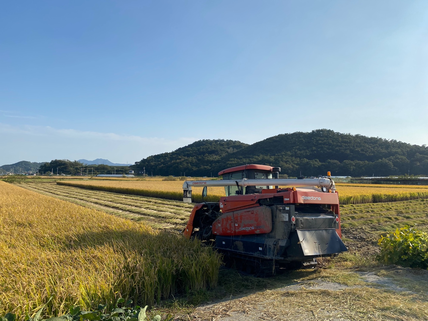 Meeting 9:30~11, Oct 29 (Wed)