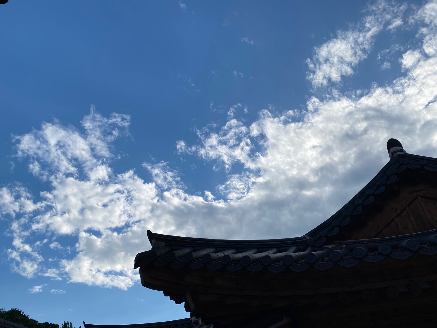 Meeting 9:30~11:30, Mar 14 (Sat)