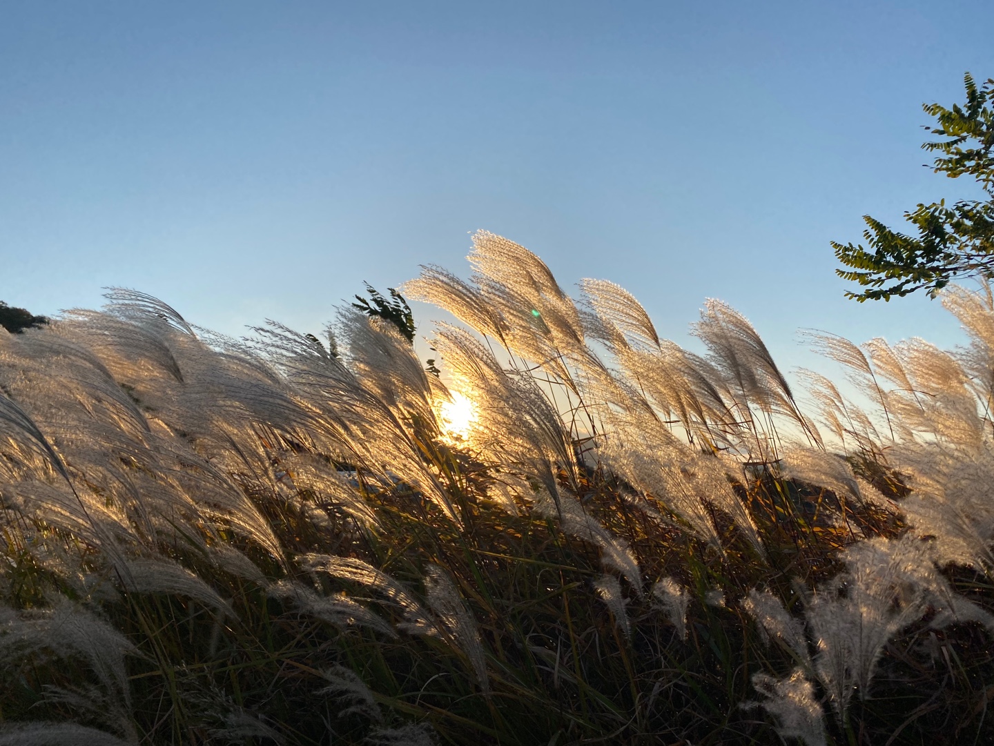 Meeting 9:30~11, Nov 5 (Wed)