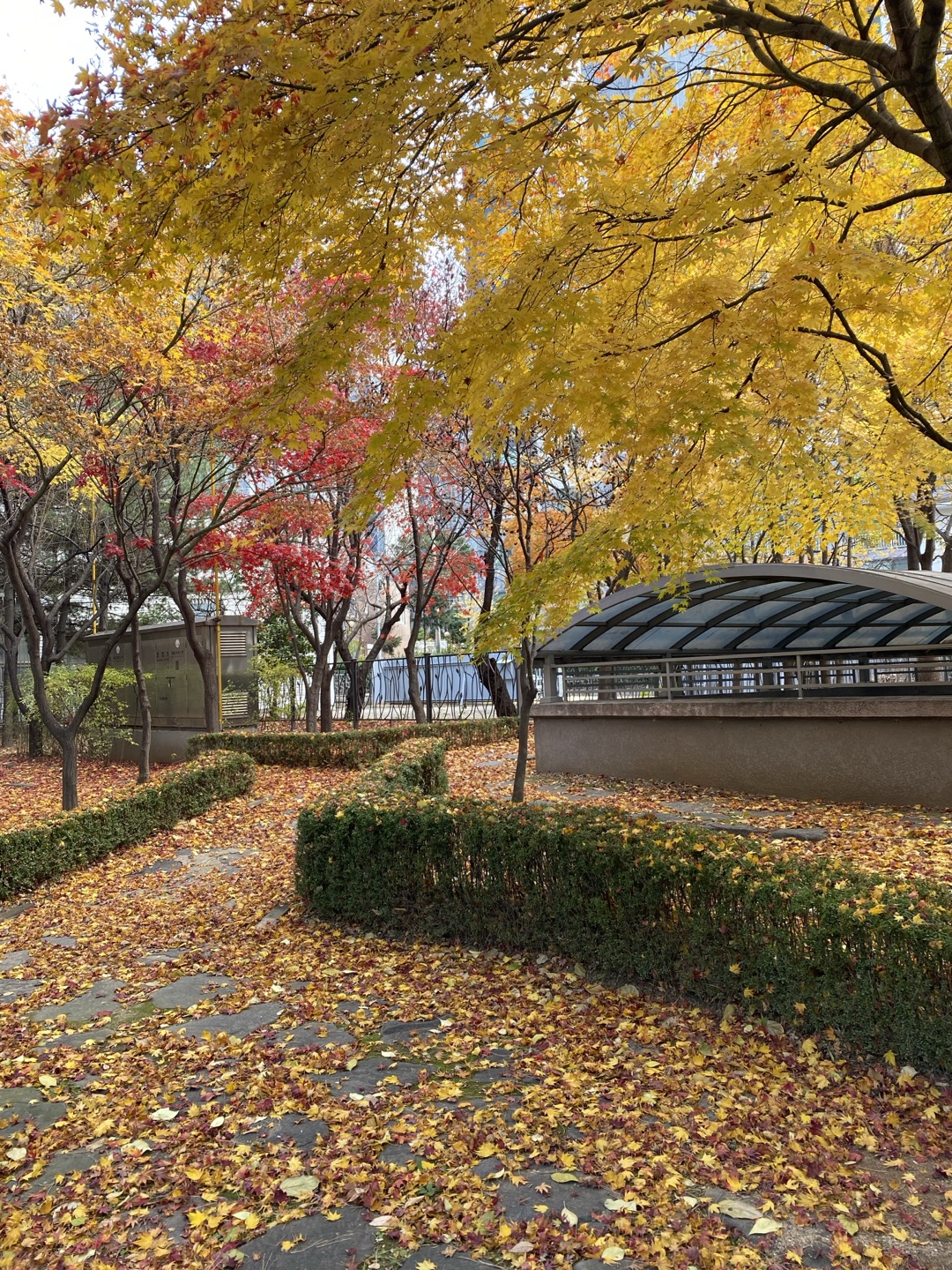 Meeting 9:30~11:30, Nov 30 (Sun)