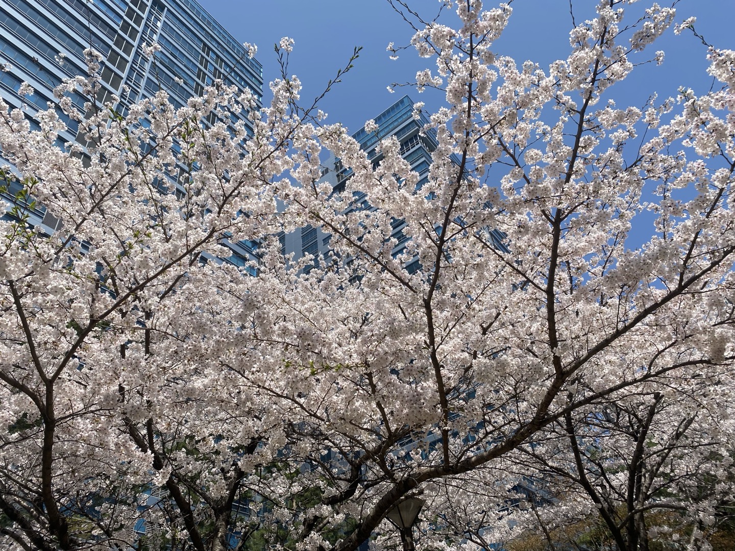 Meeting 9:30~11:30 (Sat, Feb 28)